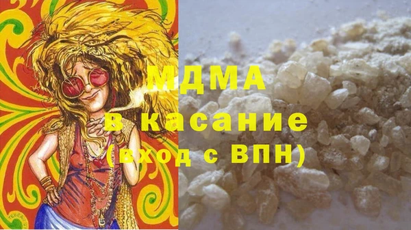 индика Богородск