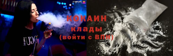 a pvp Бородино