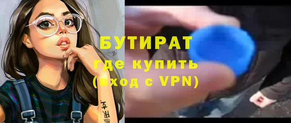 индика Богородск