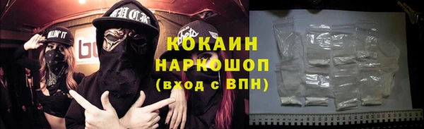 индика Богородск