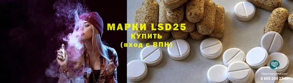 a pvp Бородино