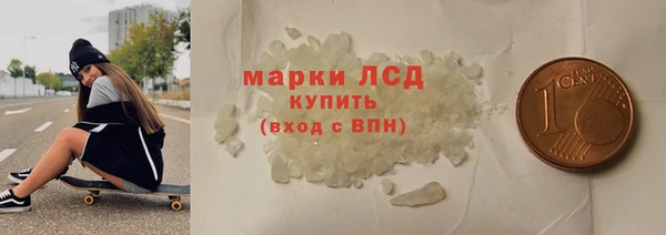 индика Богородск