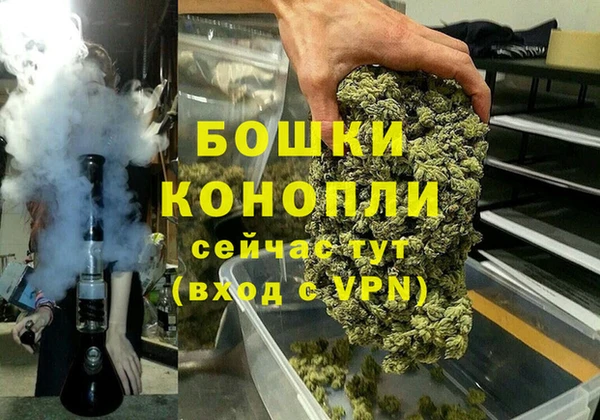 индика Богородск
