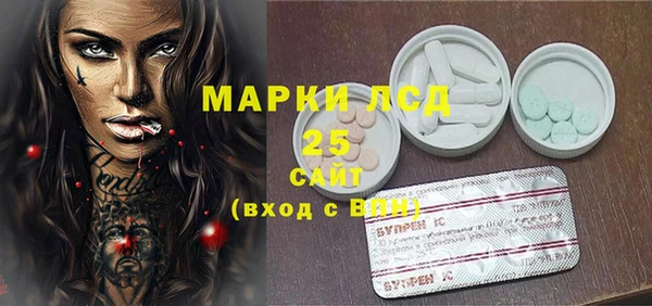 гидра Богданович