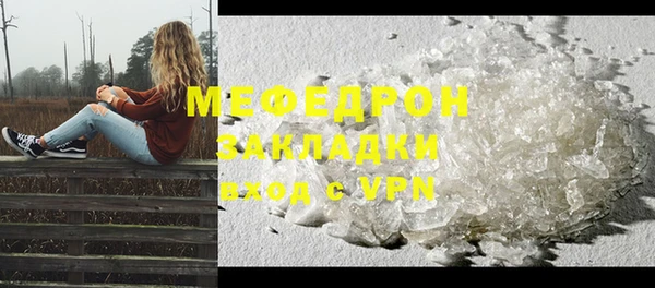 индика Богородск