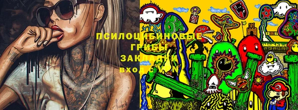 гидра Богданович