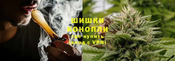 гидра Богданович